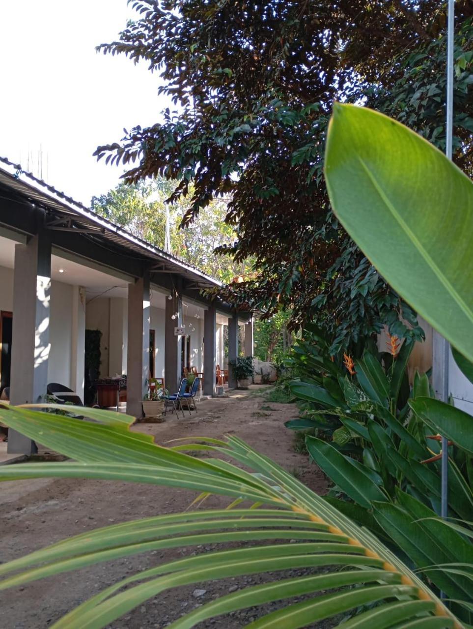 Wl Guesthouse Labuan Bajo Buitenkant foto