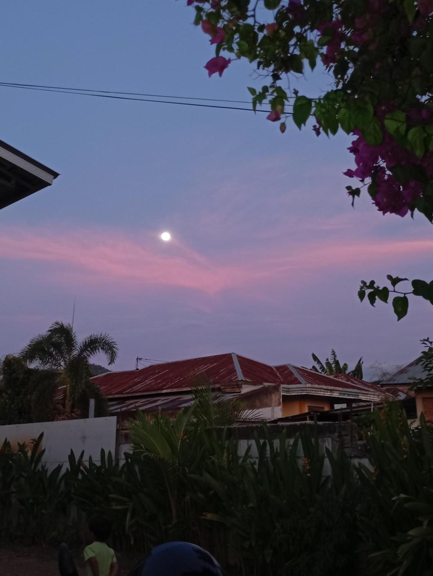 Wl Guesthouse Labuan Bajo Buitenkant foto