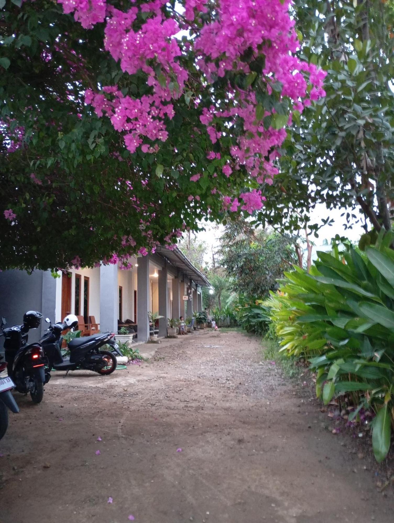 Wl Guesthouse Labuan Bajo Buitenkant foto