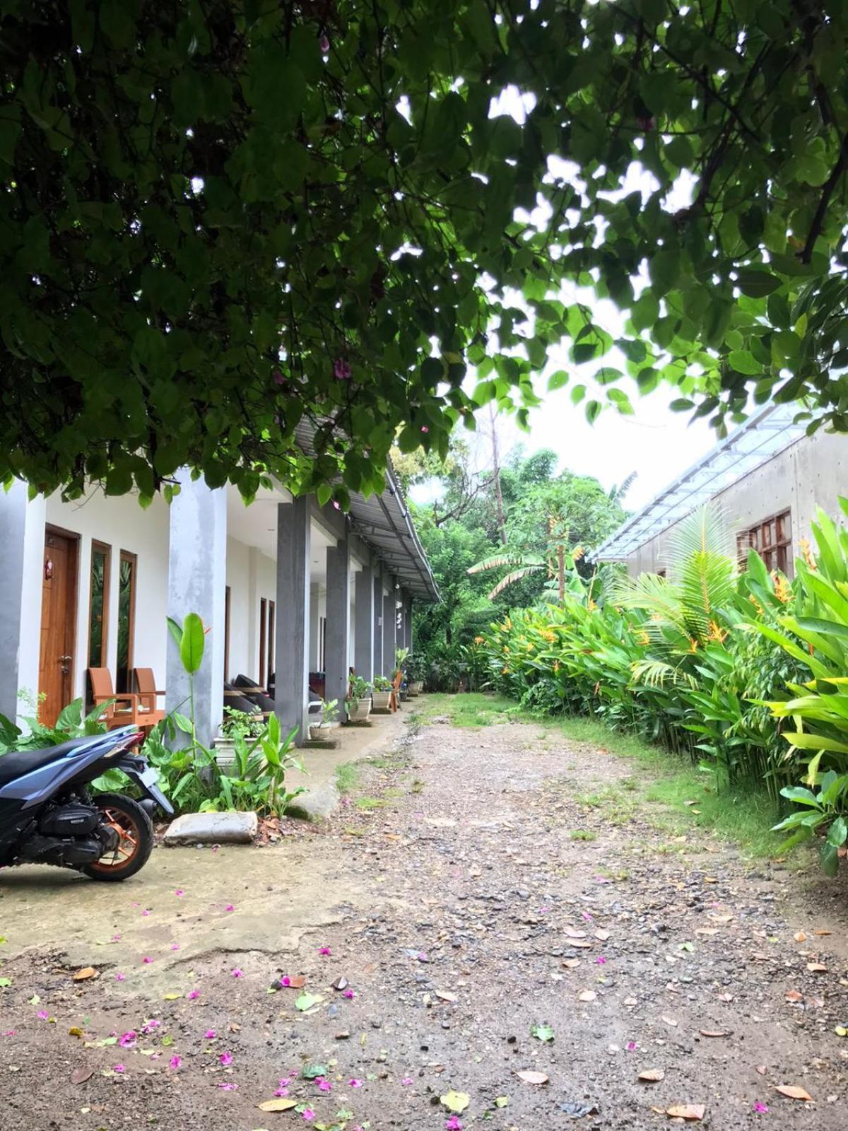 Wl Guesthouse Labuan Bajo Buitenkant foto